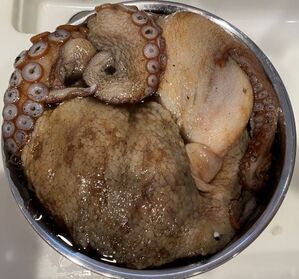 5 6kgの超巨大なマダコは塩もみが大変で 苦味があって大味だった件 世のため人のためになるヨノタメディア